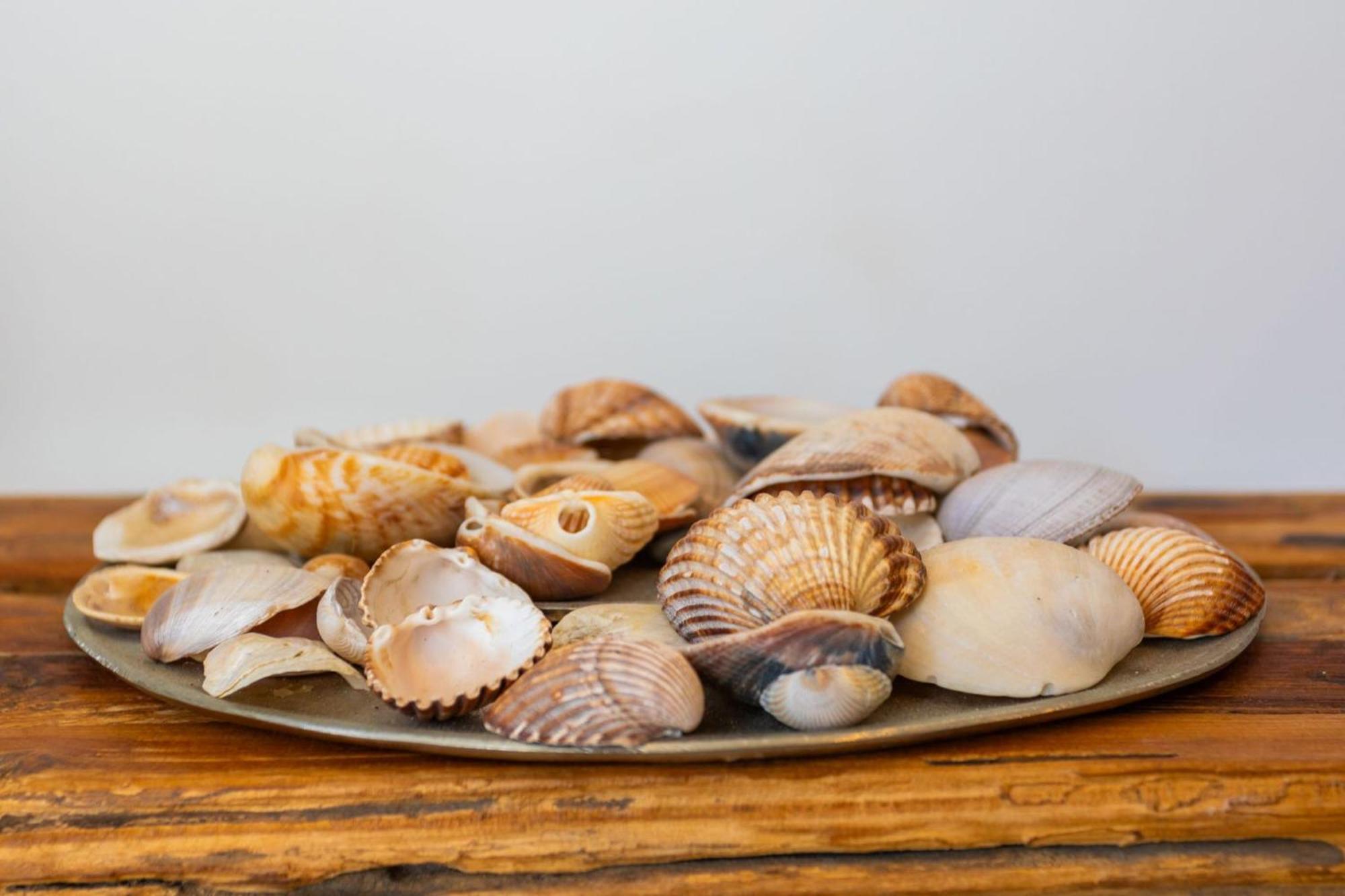 La Cala Beach Home - Beachfront Few Steps Away From Sandy Beach La Cala De Mijas Ngoại thất bức ảnh